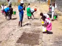 Sembrando futuro: El Huerto escolar que alimenta esperanzas en&nbsp;Gambia