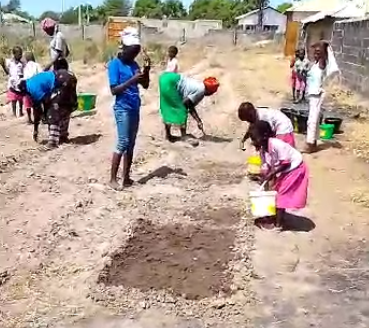 Sembrando futuro: El Huerto escolar que alimenta esperanzas en&nbsp;Gambia